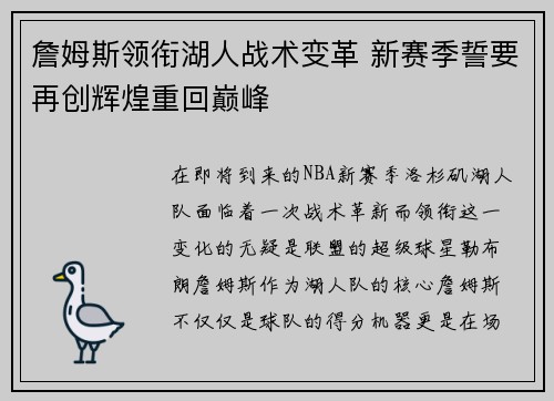 詹姆斯领衔湖人战术变革 新赛季誓要再创辉煌重回巅峰